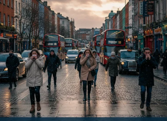 People in Ireland affected by flu and COVID during winter 2025.