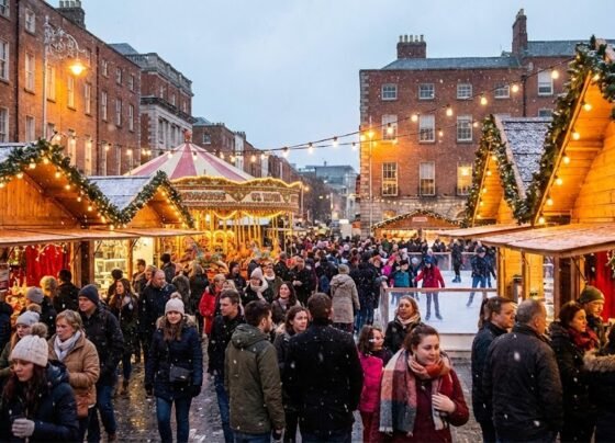 People in Ireland affected by flu and COVID during winter 2025.