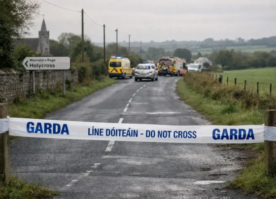 Man (70s) dies following car crash in Co Tipperary